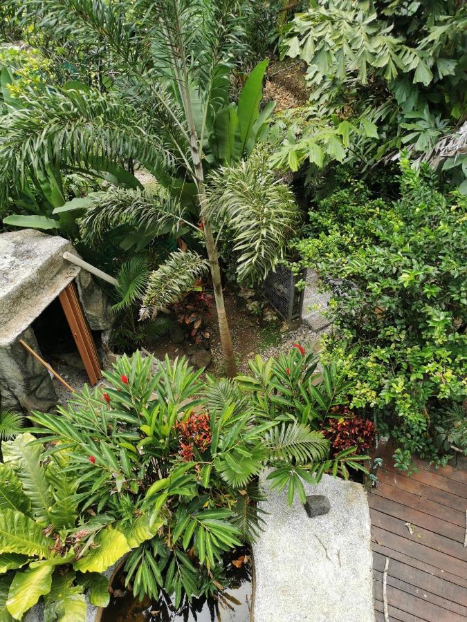 Hotel Momotus Glamping Florencia Exterior foto