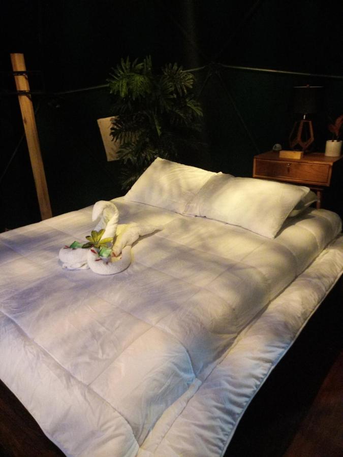 Hotel Momotus Glamping Florencia Exterior foto