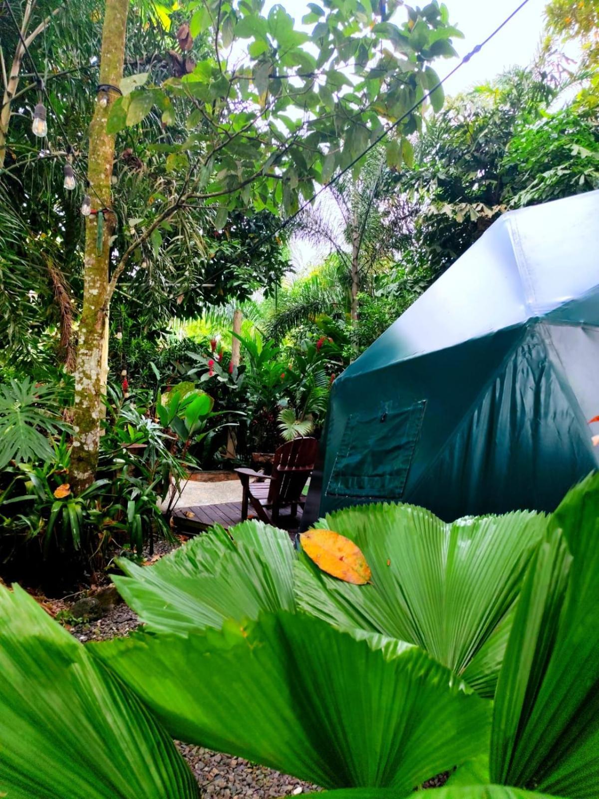 Hotel Momotus Glamping Florencia Exterior foto
